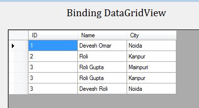 Binding DataGridView using Array